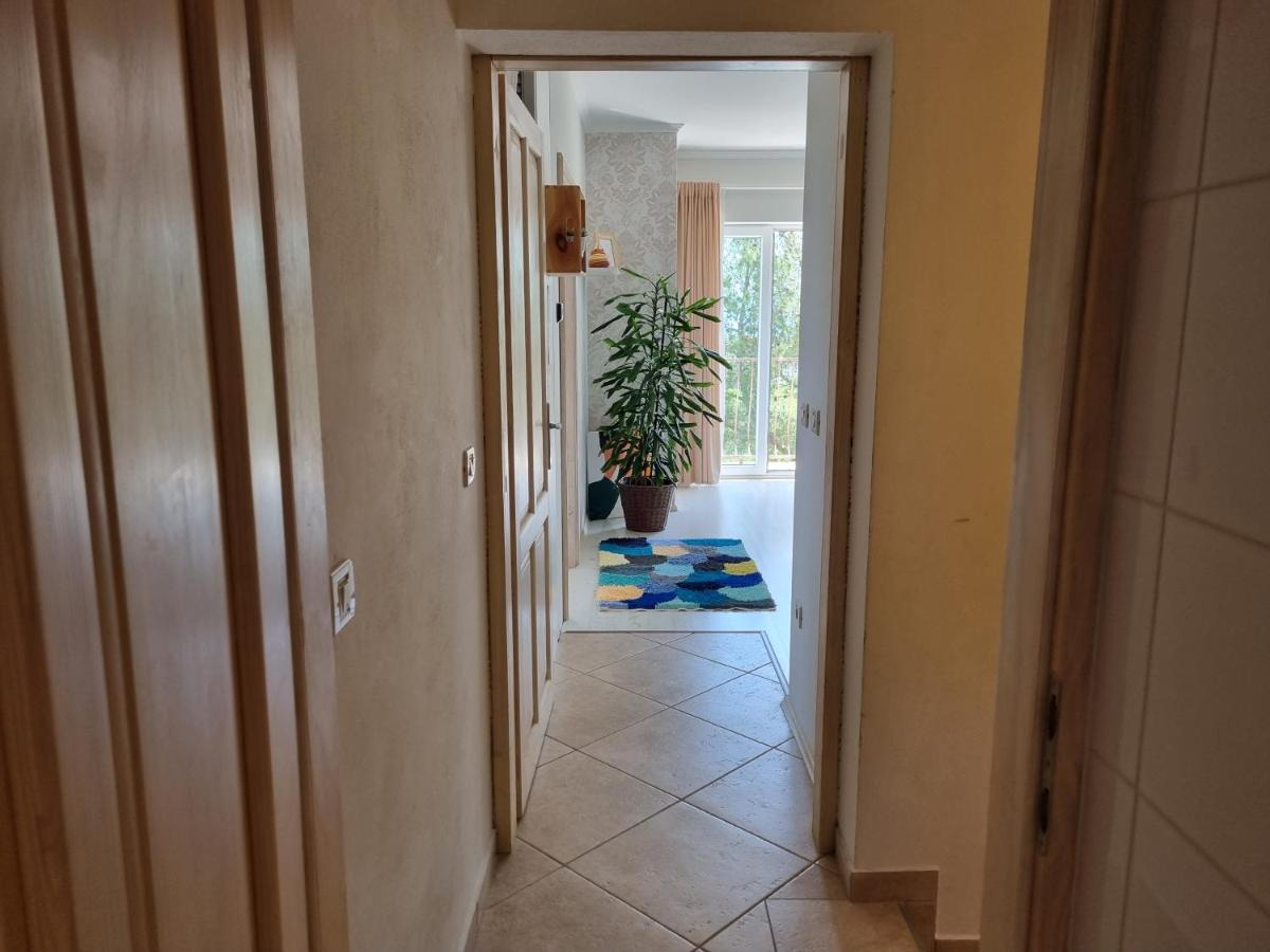 Apartment Ml Opatija Kastav Εξωτερικό φωτογραφία